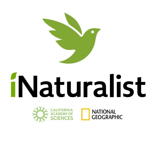 Inaturalist