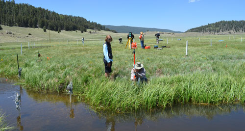Surface & Hydrologic Processes