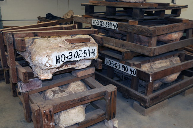 The largest of the 41 reamining unopened WPA jackets in the basement of the Vertebrate Paleontology Lab.